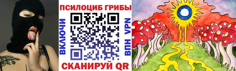 MEGA маркетплейс  Новомосковск  Псилоцибиновые грибы GOLDEN TEACHER 
